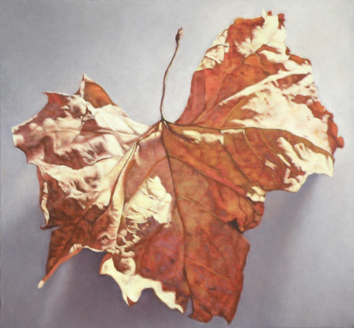 John Folchi - Leaf 16, Painting
