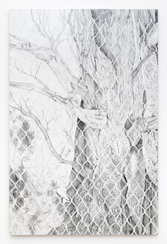 Young Tree