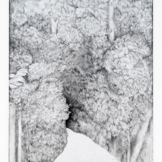 Journie Cirdain, There is a Pleasure in the Pathless Woods