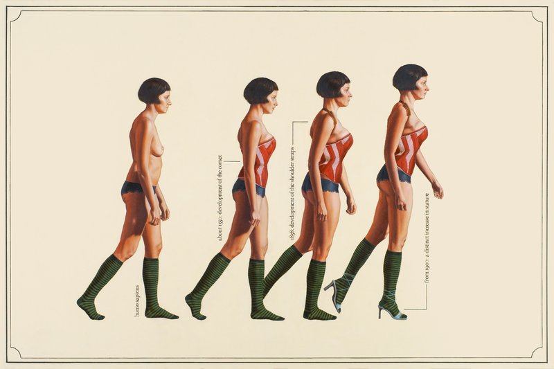 Julia Faber Human Evolution Julia Faber Human Evolution