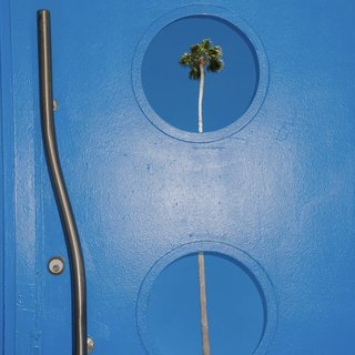 KangHee Kim, Untitled (Blue Palm Door)