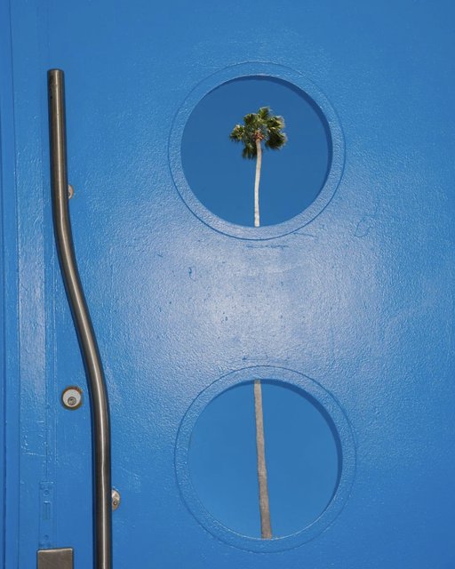 KangHee Kim - Untitled (Blue Palm Door), Photograph