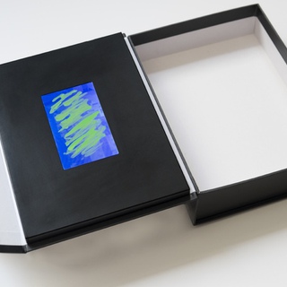 GESTURE / DATA (MICRO THUMBNAIL SCALE, BOXED) art for sale