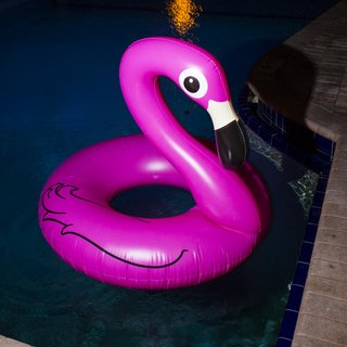Landon Nordeman, Pink Flamingo, The Colony Hotel, High Season series, Palm Beach