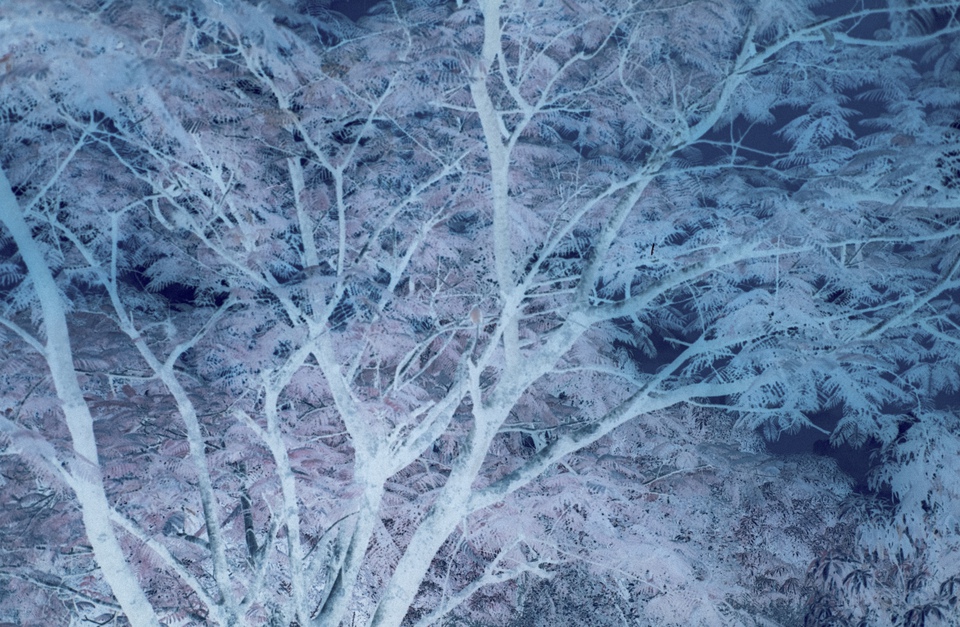 Leo Musa - Turquoise Hot Hell #02, Photograph