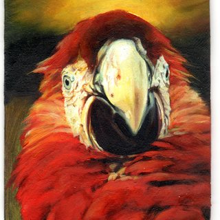Oiseau n° 9 art for sale