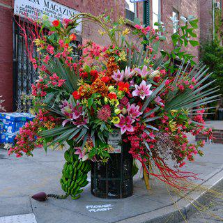 Lewis Miller, Flower Flash, Casa Magazines, West 12th Street & 8th Avenue, New York City