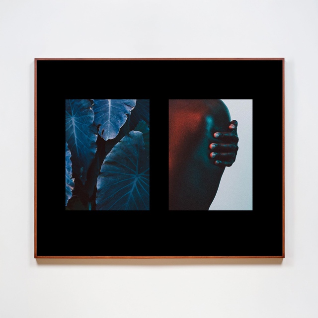 Lia Bekyan - Take Care, Photograph