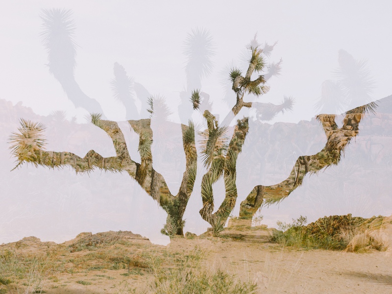 Double Vision