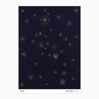 Lionel Esteve, Ciel Nuit