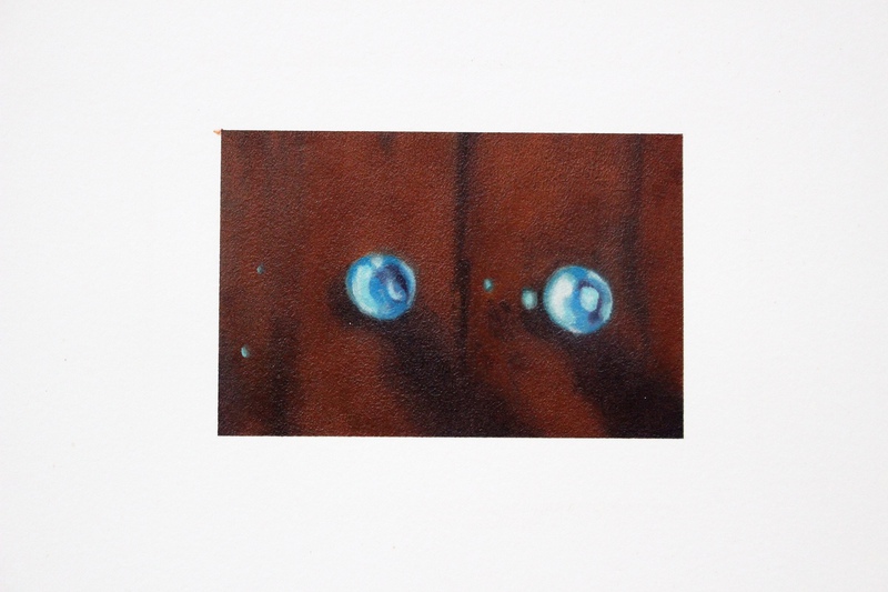 view:84637 - Lisa Kellner, Googly Eyes (mid-centure cabinet door knobs) - 