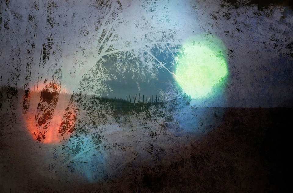 Lisa Rosenmeier - Nighthike, Photograph