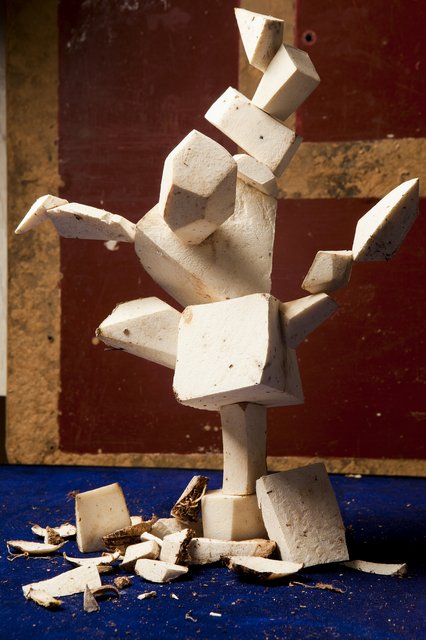 Lorenzo Vitturi - White Yam #5, 2013, Photograph