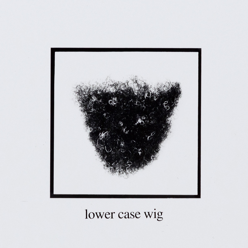 view:83392 - Lorna Simpson, Wigs - 