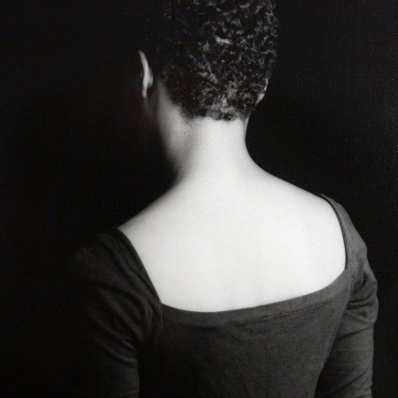 view:55318 - Lorna Simpson, Partition and TIme - 