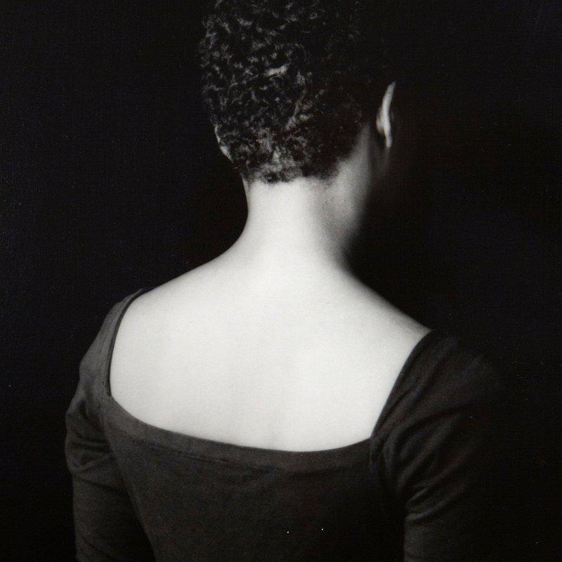 view:55321 - Lorna Simpson, Partition and TIme - 
