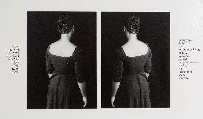 view:55324 - Lorna Simpson, Partition and TIme - 