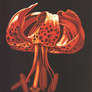 Lowell Nesbitt, Lily