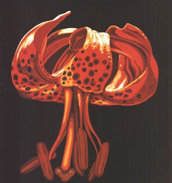 Lowell Nesbitt - Lily, Print