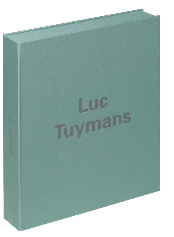 view:2091 - Luc Tuymans, The Worshipper, 2004 - 
