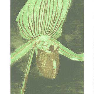 Luc Tuymans, Orchid