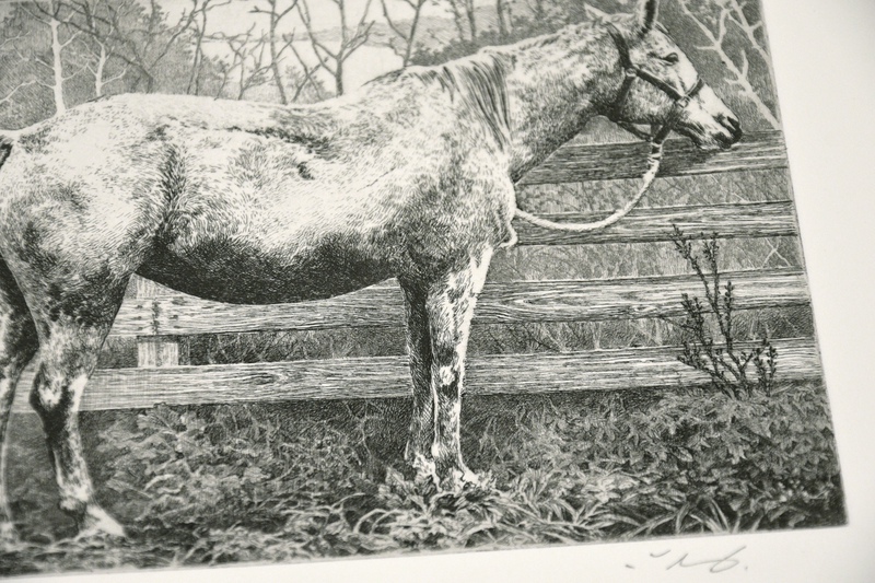 view:86404 - Manabu Ikeda, White Horse - 