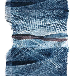 Marcy Rosenblat, Blue Netting