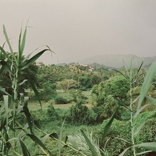 Mariana García, San Pancho