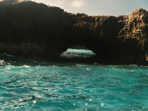 Gift Guides Into the Wild Under $1,500