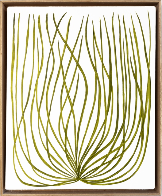 Marianne Hendriks - Miconia recemosa, Painting