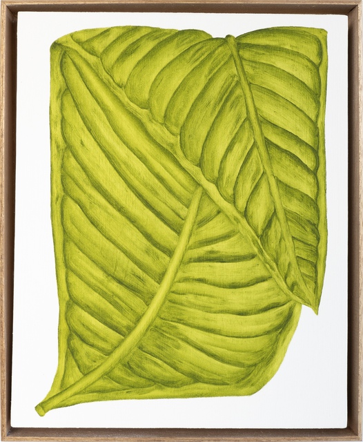 Marianne Hendriks - Lobelia thapoidea, Painting