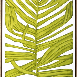 Marianne Hendriks, Osmunda Transitum