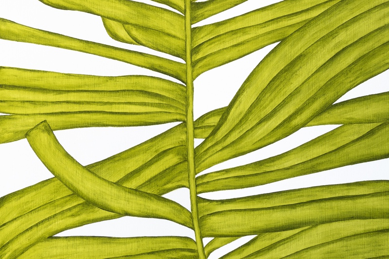 view:89440 - Marianne Hendriks, Osmunda Transitum - 