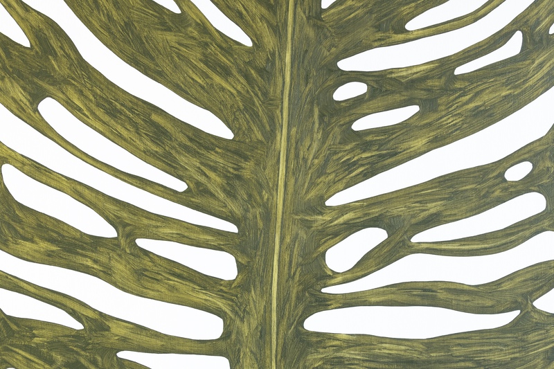 view:89426 - Marianne Hendriks, Monstera Magnum - 