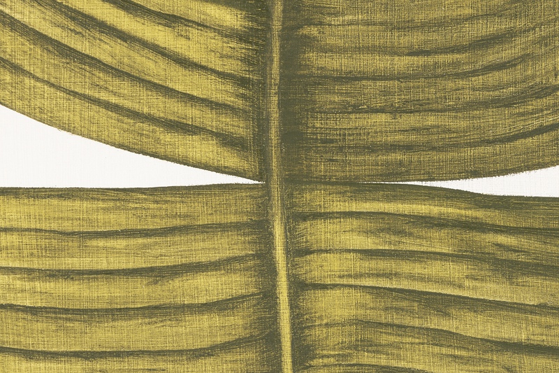 view:89420 - Marianne Hendriks, Ficus Elastica Tribus - 