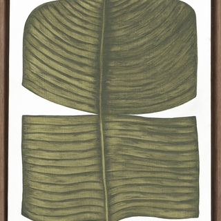 Marianne Hendriks, Ficus Elastica Tribus