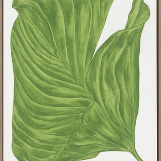 Marianne Hendriks, Title: Tenens Folium