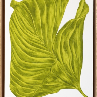 Marianne Hendriks, Title: Tenens Folium