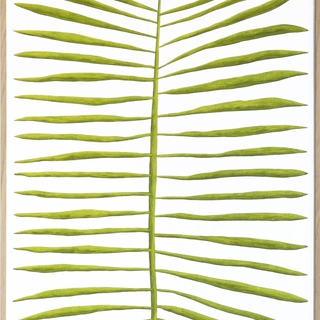 Marianne Hendriks, Felix Tranquillitas