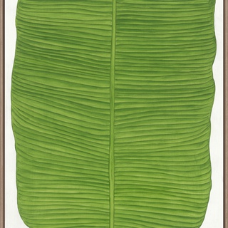 Marianne Hendriks, Musa Acuminata