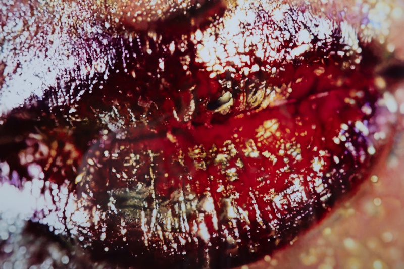 Marilyn Minter edition