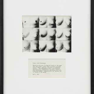Martha Wilson, Breast Form Permutated