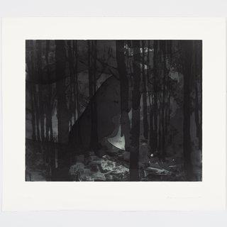 Matt Saunders, Landscape II (Dark Forest)