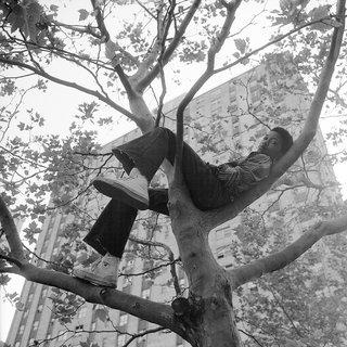 Reclining in tree by Goddard Riverside Community Center NY, NY art for sale