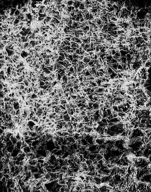 Michael N. Meyer - Direct Form #55, Photograph