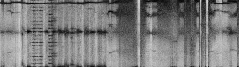 Michael N. Meyer - Transigram #644c51c1, Photograph