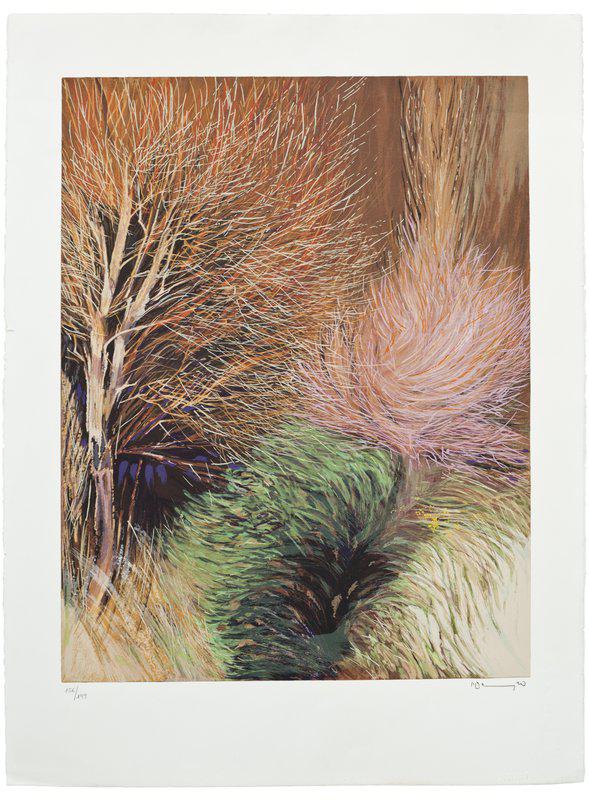 Paisaje