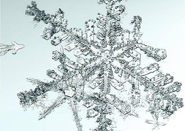 work by Doug and Mike Starn - Untitled (Snowflake) #:24152