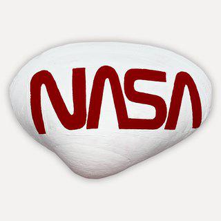 Consumerism Ashore, NASA Seashell art for sale