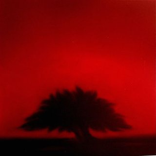 Crimson Tree art for sale